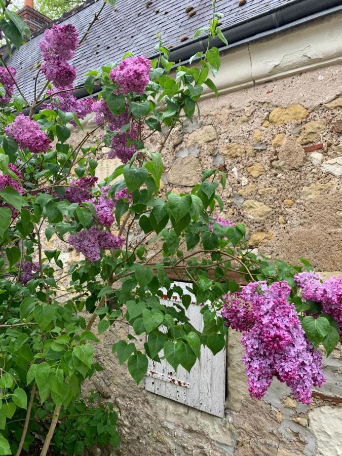 La Grange D Ave Guest house Luynes (Indre-et-Loire)