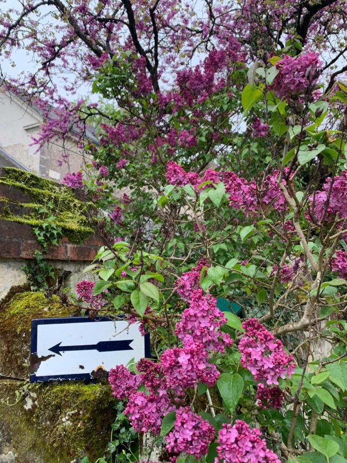 La Grange D Ave Luynes (Indre-et-Loire)