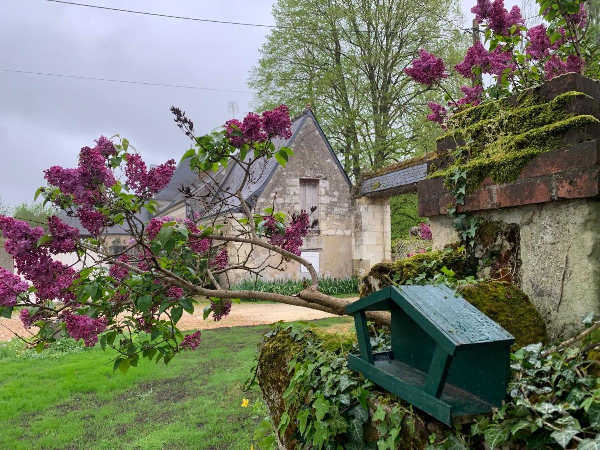 La Grange D Ave Luynes (Indre-et-Loire)